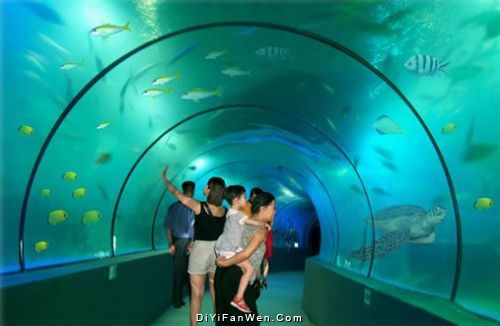 北海海底世界圖片