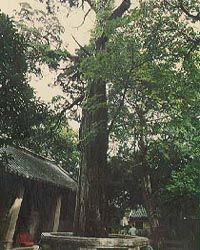 徐州白雲洞圖片