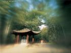 西湖雲棲竹徑（新十景）