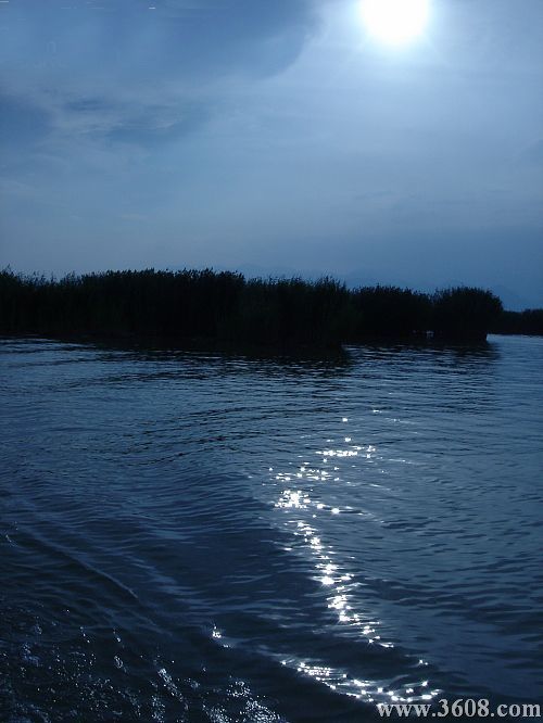 寧夏沙湖圖片