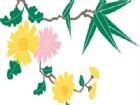 黑板報花邊：黃花盛開