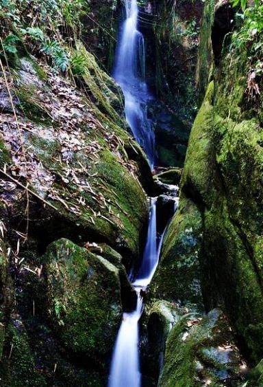 湖南舜皇山國家森林公園圖片