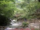 黑山谷