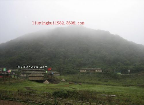 金佛山圖片