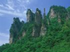 天子山風情