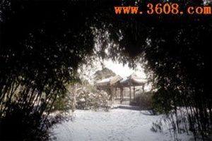 北京臥佛寺（組圖）圖片