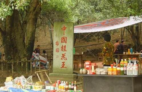 香林花雨風景區圖片