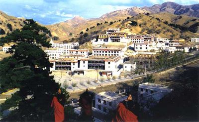 五塔寺圖片