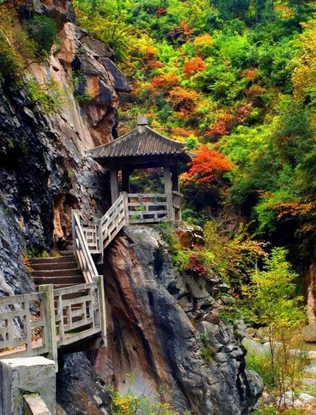甘肅西峽頌摩崖石刻圖片