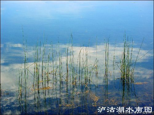 瀘沽湖圖片