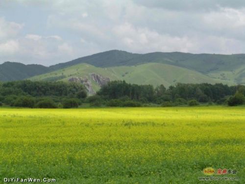 錫林郭勒大草原圖片
