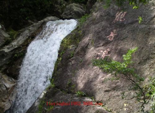 南崑山國家森林公園圖片