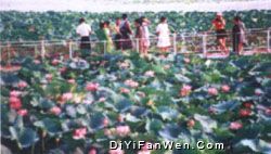 新民小西湖圖片