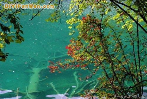 四川火花海圖片