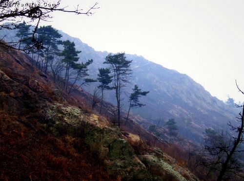 煙雨圌山圖片