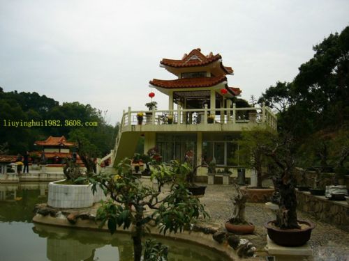 仙湖植物園圖片