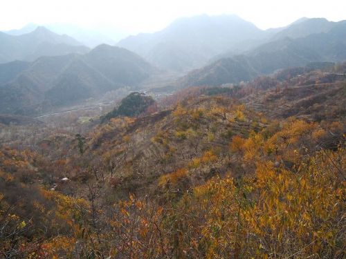 蓮花山圖片