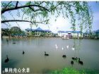 接待中心全景