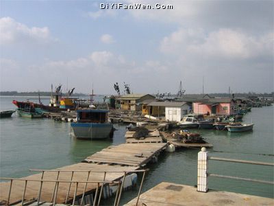 東郊椰林圖片