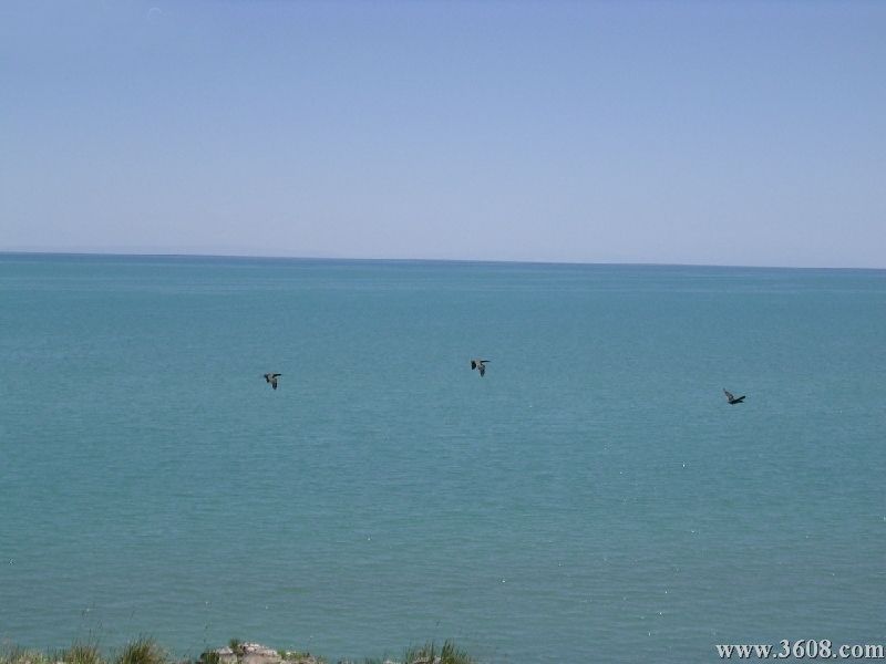 青海湖圖片