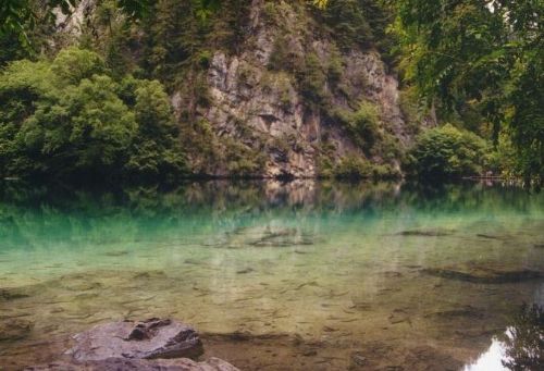 四川熊貓海圖片