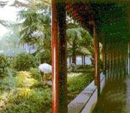 定慧禪寺圖片