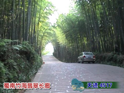 蜀南竹海圖片
