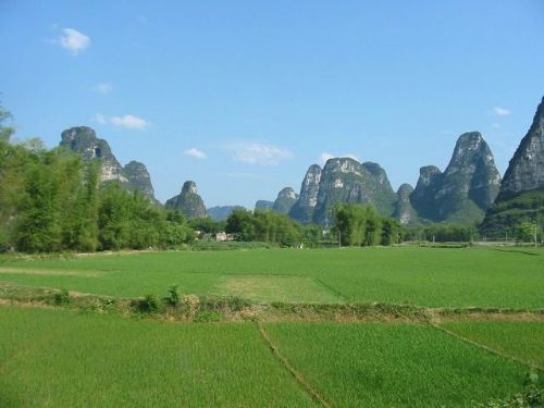廣西明仕田園美景圖片