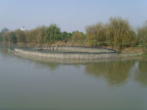溱湖國家濕地公園圖片