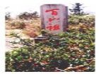百山祖