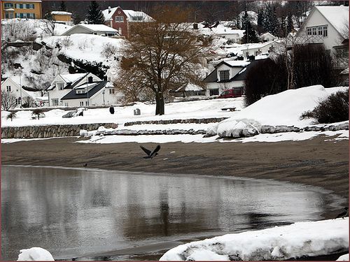 挪威的冬天圖片