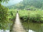 四面山風景名勝區