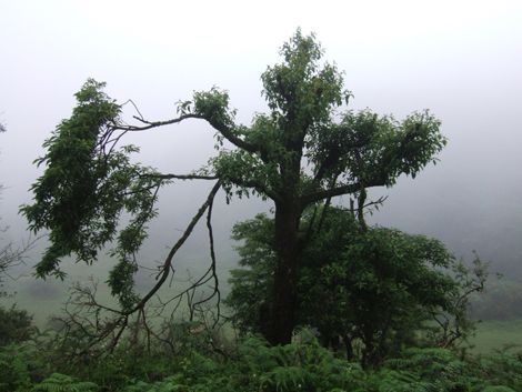 老爺山圖片