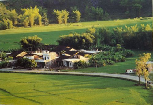 明仕田園圖片