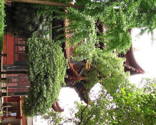 文殊院圖片