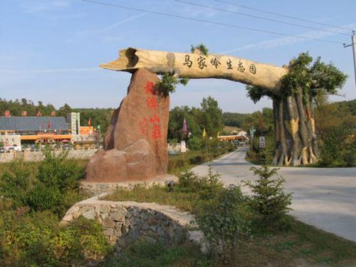 雙陽吊水壺圖片