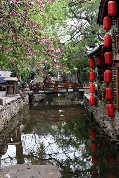 麗江掠影圖片