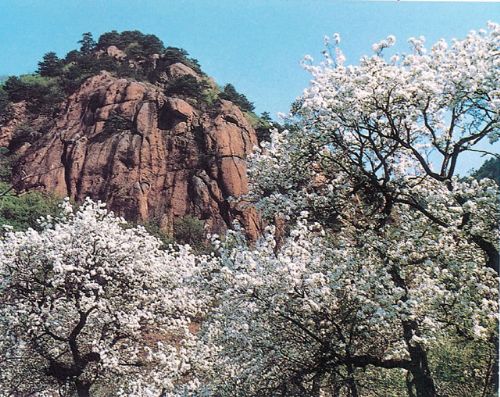 千山圖片