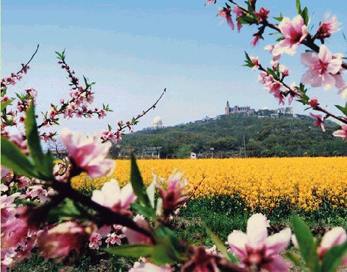 佘山國家級旅遊度假區圖片