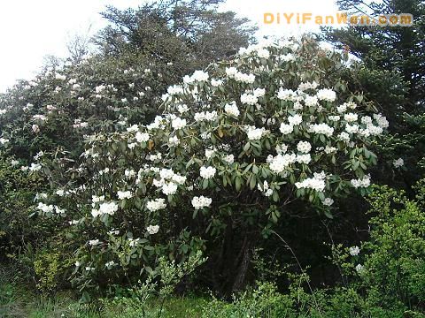 鎣華山風景名勝區圖片