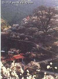 梅關古驛道圖片