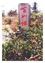 百山祖圖片