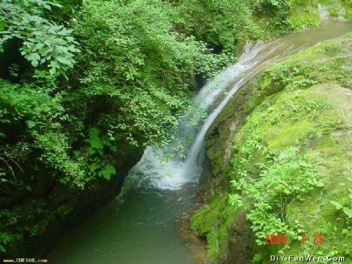 金絲大峽谷國家森林公園圖片