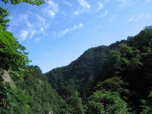 翠華山圖片