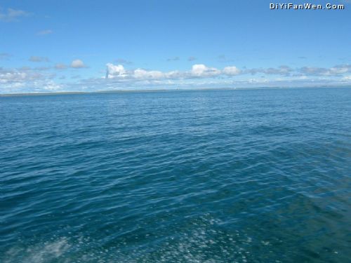 青海湖圖片