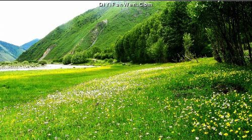 新都橋之夏圖片