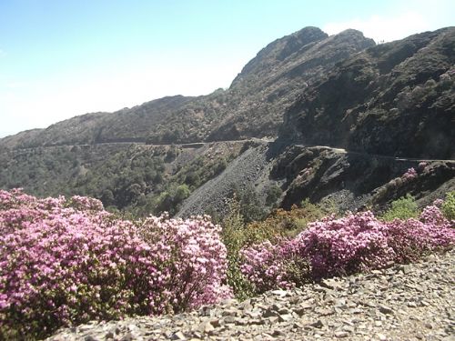 四川龍肘山圖片