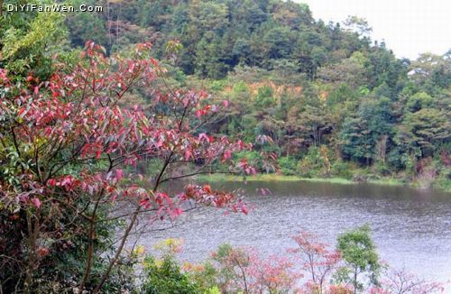 廣東從化石門紅葉美景圖片