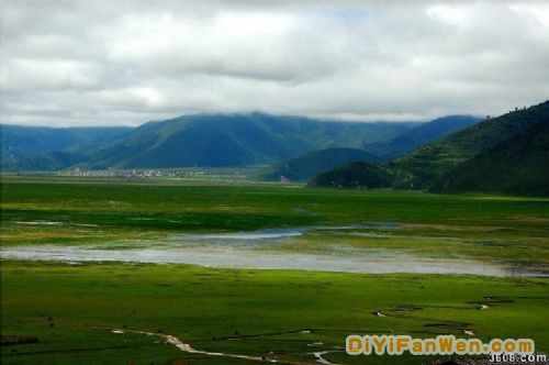 雲南納帕海圖片