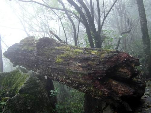 天門山風景圖片